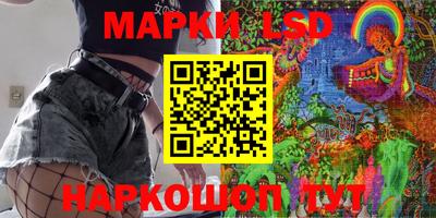 Альфа ПВП Новодвинск