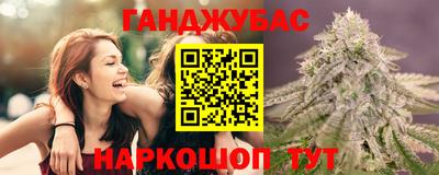 Альфа ПВП Новодвинск