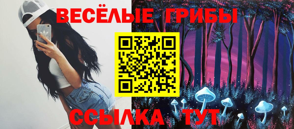 Унеча  Псилоцибиновые грибы Magic Shrooms  Вход с VPN  хочу   Псилоцибиновые грибы Psilocybe 